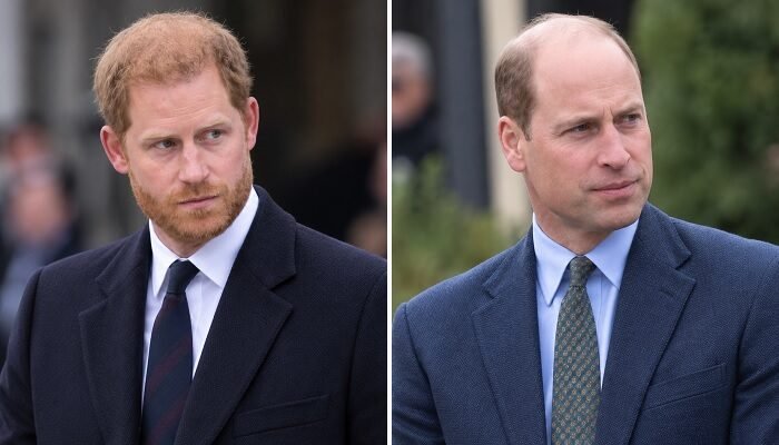 Prince Harry’s New Master Plan Leaves William With Fresh Diana Concern After Royal Win