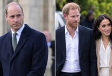 Prince William’s Biggest Fear About Prince Harry and Meghan Revealed as He Prepares for Future Reign