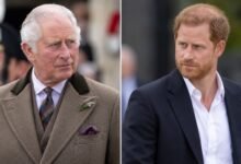 King Charles Latest Blow Puts Prince Harry to Ultimate Test as Palace Tensions Rise
