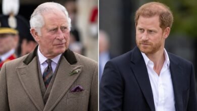 King Charles Latest Blow Puts Prince Harry to Ultimate Test as Palace Tensions Rise