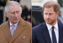 King Charles Forced to Make Key Prince Harry Appearance to Protect Monarchy