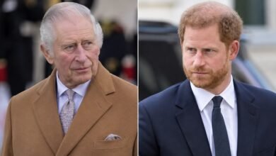 King Charles Forced to Make Key Prince Harry Appearance to Protect Monarchy