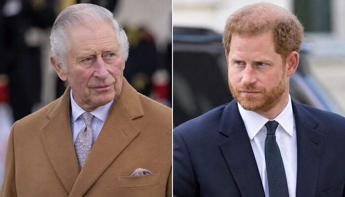 King Charles Forced to Make Key Prince Harry Appearance to Protect Monarchy