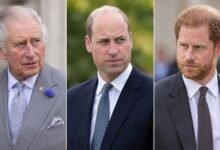 King Charles and Prince William Could Summon Prince Harry for Crucial Meeting Over UK Future