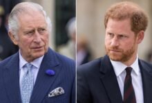King Charles and Prince Harry Told to End Polite Talks Before Royal Rift Turns Poisonous