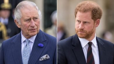 King Charles and Prince Harry Told to End Polite Talks Before Royal Rift Turns Poisonous