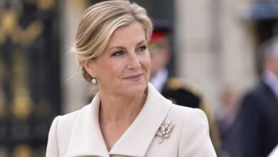 King Charles Entrusted Duchess Sophie for Major Mission Amid Sussex Tensions