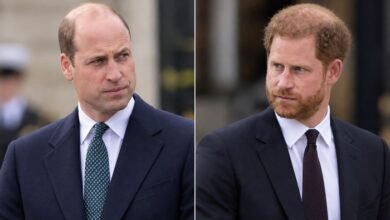 Prince Harry’s Subtle Gesture to Prince William Resurfaces as Expert Spots Hope Beneath Royal Rift