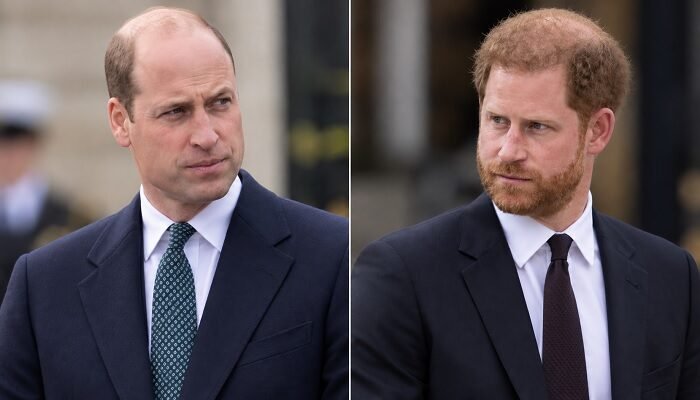 Prince Harry’s Subtle Gesture to Prince William Resurfaces as Expert Spots Hope Beneath Royal Rift