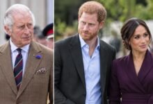King Charles Shuts Down Prince Harry and Meghan Markle Royal Return