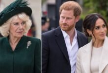 Queen Camilla Dragged Into Prince Harry and Meghan Markle Palace Row