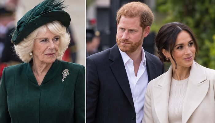 Queen Camilla Dragged Into Prince Harry and Meghan Markle Palace Row