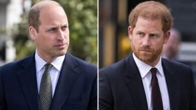 Prince William’s Palace Video Reveals Unexpected Prince Harry Link on Duke’s Birthday
