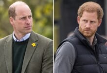 Prince William Warned Prince Harry’s UK Return Will Bring One Question He Can’t Escape