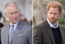 King Charles Draws New Line Over Prince Harry’s Treatment After Duke’s UK Return