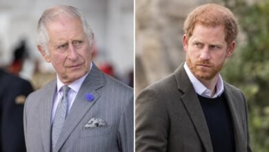 King Charles Draws New Line Over Prince Harry’s Treatment After Duke’s UK Return