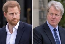 Prince Harry’s Private Reaction to Charles Spencer’s Explosive Diana Claims Revealed