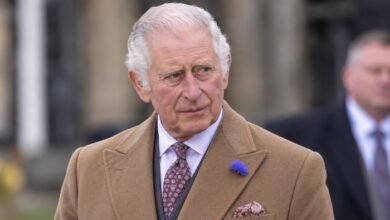 King Charles Rare Diana Response Risks Opening Fresh Palace Battle at Worst Possible Time