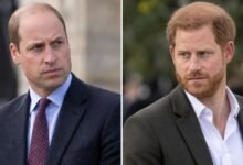 Prince William Believes Prince Harry Knew About Charles Spencer’s Explosive Diana Claims