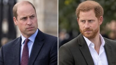 Prince William Believes Prince Harry Knew About Charles Spencer’s Explosive Diana Claims