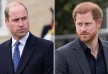 Prince William and Prince Harry Face Difficult Choice as Charles Spencer’s Diana Claims Stir Family Tensions