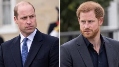 Prince William and Prince Harry Face Difficult Choice as Charles Spencer’s Diana Claims Stir Family Tensions