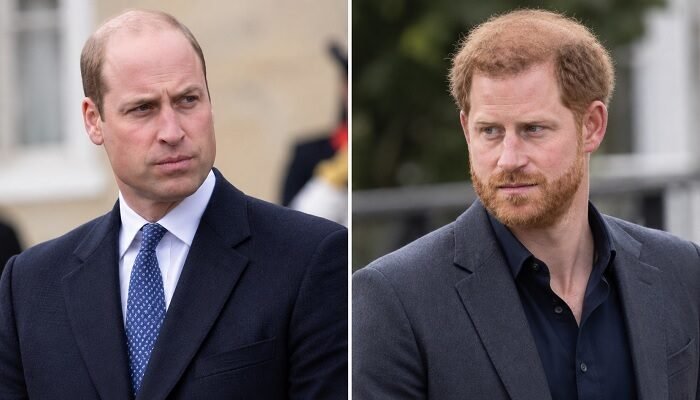 Prince William and Prince Harry Face Difficult Choice as Charles Spencer’s Diana Claims Stir Family Tensions
