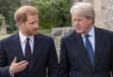 Prince Harry Feels Vindicated As Charles Spencer Reopens Diana’s Painful Royal Past