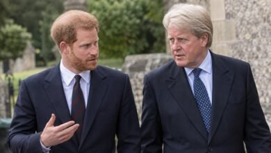 Prince Harry Feels Vindicated As Charles Spencer Reopens Diana’s Painful Royal Past