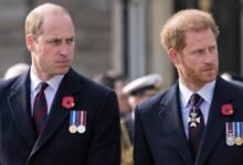 Prince William and Prince Harry Face Painful Diana Reminder as Charles Spencer’s Memoir Raises New Questions