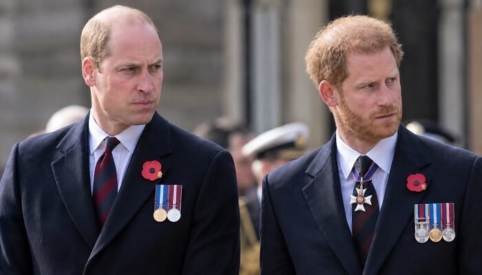 Prince William and Prince Harry Face Painful Diana Reminder as Charles Spencer’s Memoir Raises New Questions