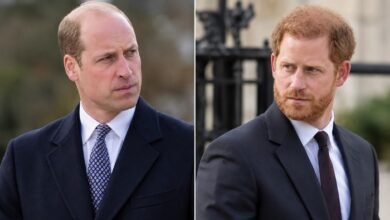 Prince William and Harry Find Common Ground Over Diana as Charles Spencer’s Memoir Reopens Old Wounds