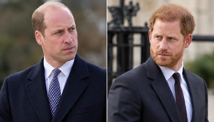 Prince William and Harry Find Common Ground Over Diana as Charles Spencer’s Memoir Reopens Old Wounds