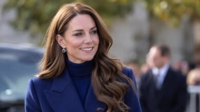 Princess Kate’s Quiet Solo Flight Draws Attention As Prince Harry and Meghan Await Security Decision