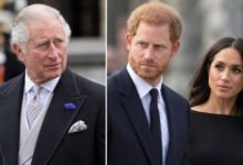 King Charles Moves First on Prince Harry and Meghan As Expert Spots Major Change in Palace Strategy