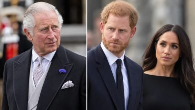 King Charles Moves First on Prince Harry and Meghan As Expert Spots Major Change in Palace Strategy