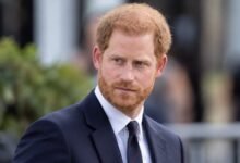 Prince Harry Risks Royal Reconciliation as Charles Spencer ‘Alliance’ Claims Raise New Questions
