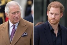 King Charles Reaches Out to Prince Harry as Diana Book Brings Fresh Royal Tensions