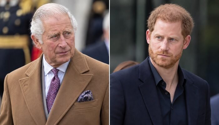 King Charles Reaches Out to Prince Harry as Diana Book Brings Fresh Royal Tensions