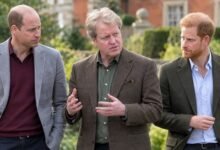 Charles Spencer Reveals What Prince William and Prince Harry Already Knew Before Diana Book Bombshells