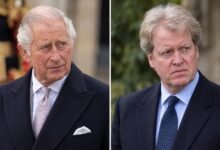King Charles Held Back From Stronger Charles Spencer Response as Palace Team Stepped In