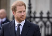 Prince Harry Believes Royal Family Still Needs Him Despite King Charles Firm Palace Message