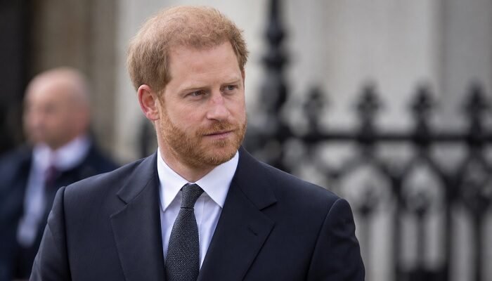 Prince Harry Believes Royal Family Still Needs Him Despite King Charles Firm Palace Message
