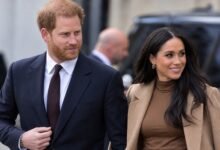 Prince Harry and Meghan Markle Receive Strong Security Support From Charles Spencer