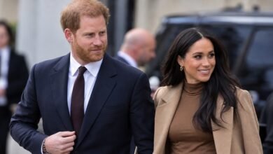 Prince Harry and Meghan Markle Receive Strong Security Support From Charles Spencer