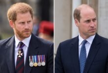Prince Harry’s Diana Anniversary Plan Risks Deepening Rift With Prince William as Documentary Idea Emerges