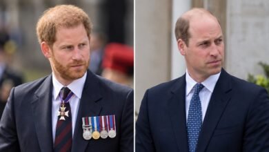 Prince Harry’s Diana Anniversary Plan Risks Deepening Rift With Prince William as Documentary Idea Emerges
