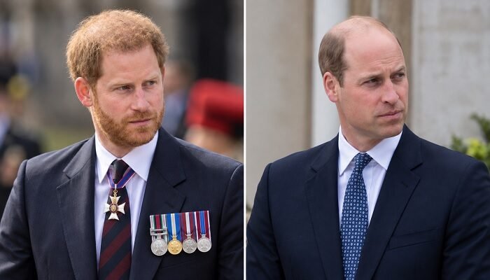 Prince Harry’s Diana Anniversary Plan Risks Deepening Rift With Prince William as Documentary Idea Emerges