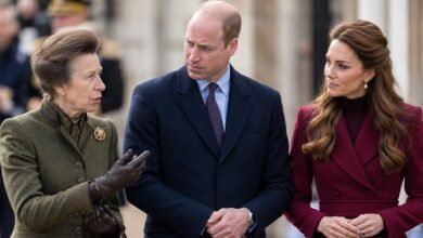 Princess Anne Steps In With Prince William and Princess Kate Amid Spencer Crisis