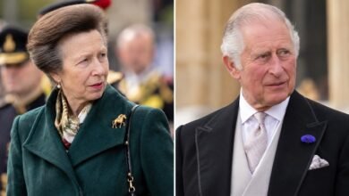 Princess Anne Hands King Charles Welcome Boost With Major Announcement Amid Crisis